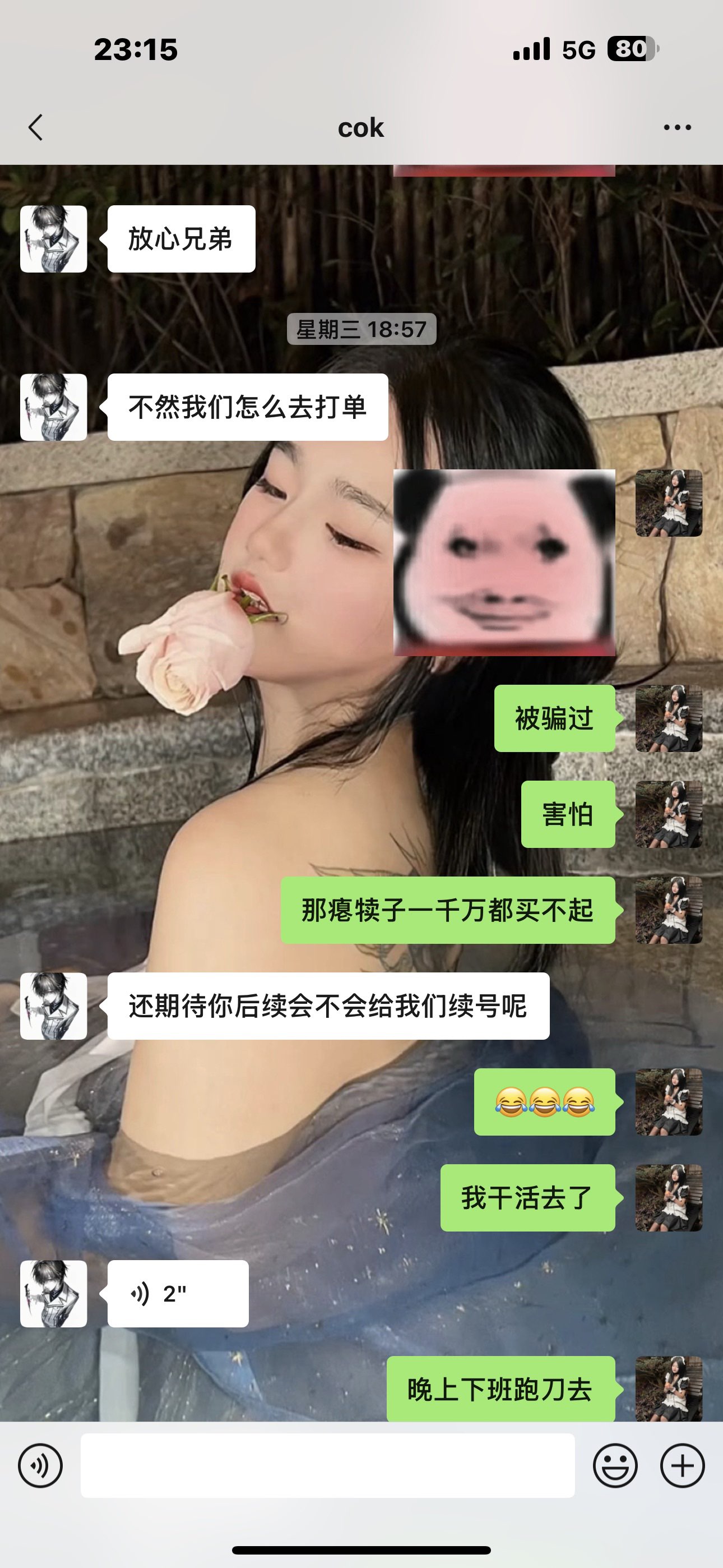 证据图片