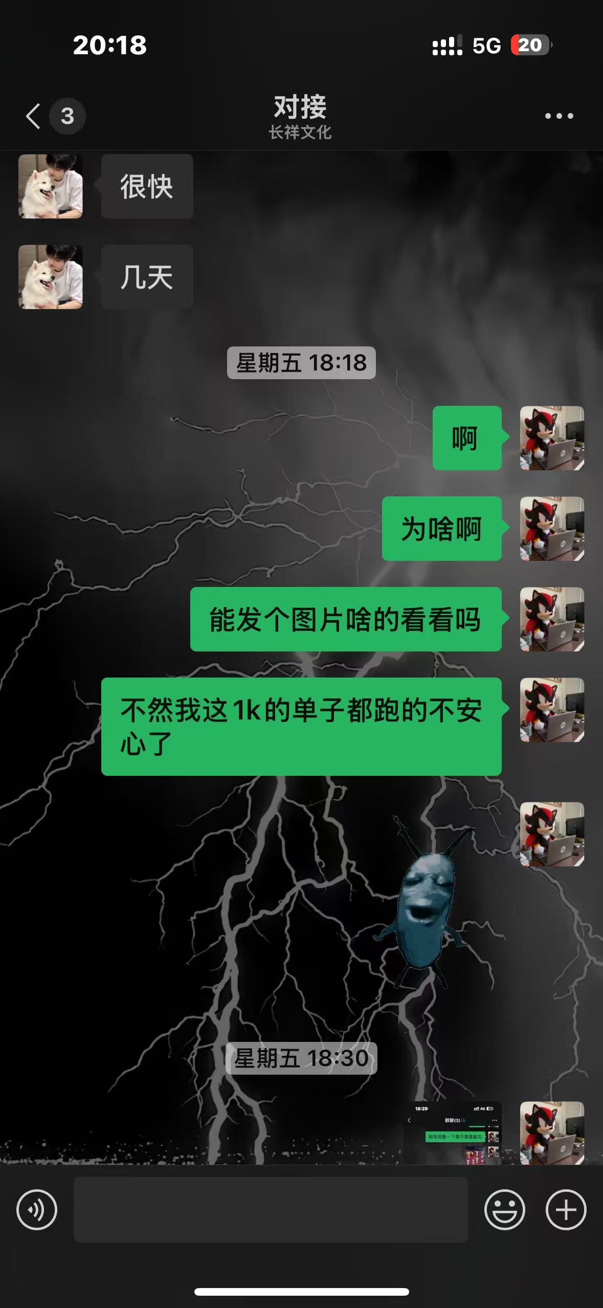 证据图片
