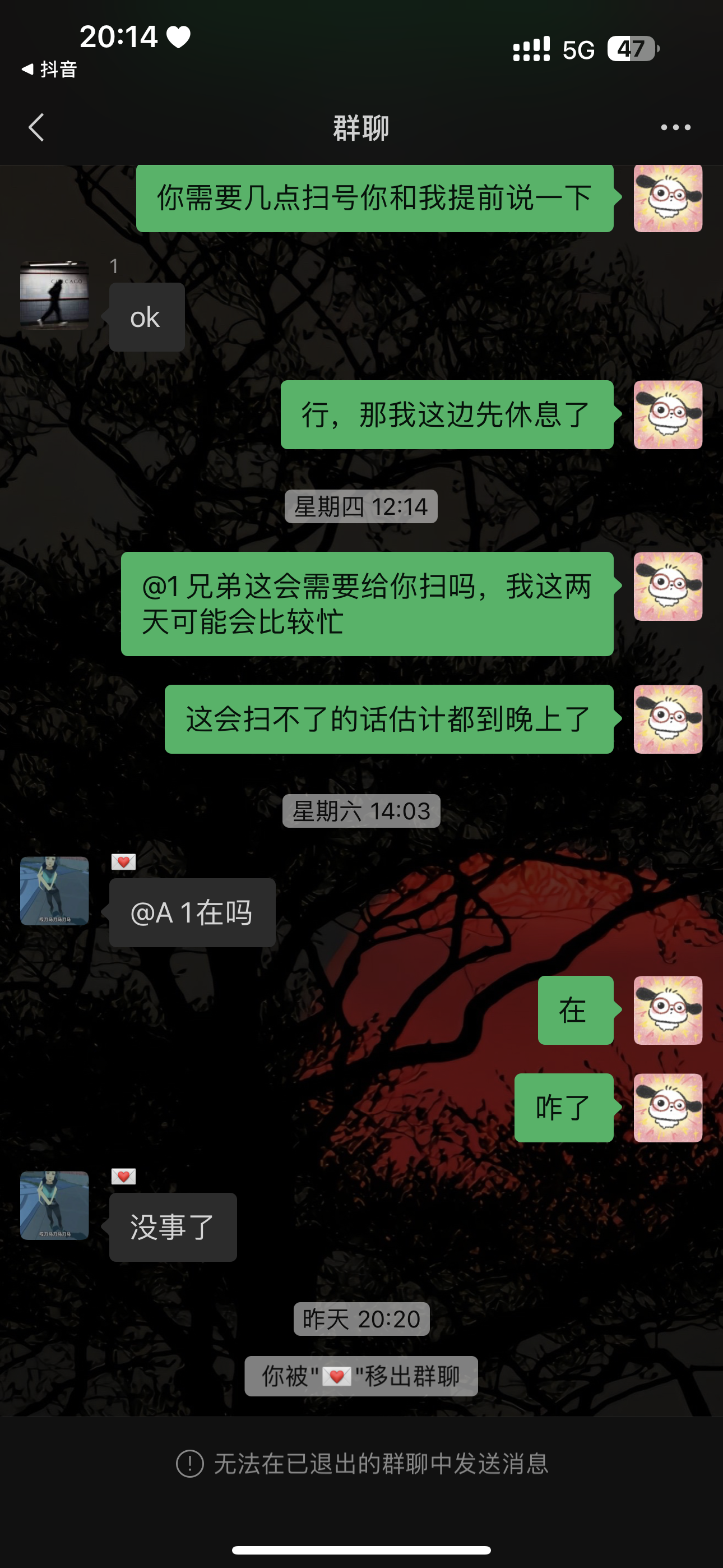 证据图片